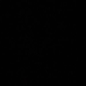 Meet your Posher, Walt